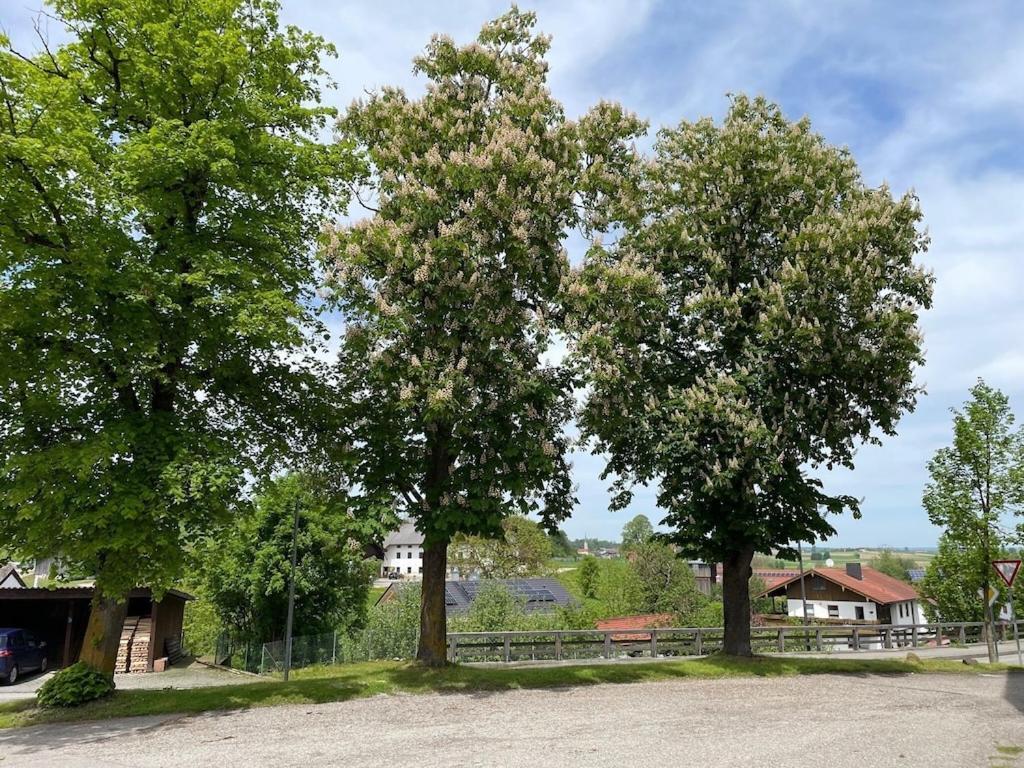 Ferienwohnung Meridiana Tuntenhausen Exterior foto
